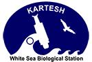logo2.JPG