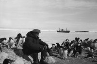 Антарктида, 1956 : 000021210053.jpg