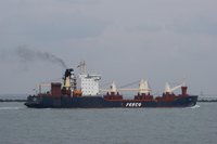  978568.jpg