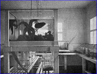  7-Аквариальная на Мурманской биологической станции.jpg