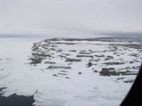  2782-2_4e400997.gif