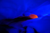 Антарктида. 2011. Станция Новолазаревская. Ледяные пещеры в айсбергах. Подсветка делалась при помощи фонариков и фильтров. : 06.jpg
