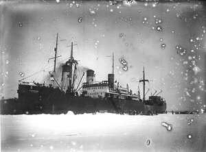  shmelkov_05.jpg