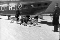 Н502 полоса не белая.jpg