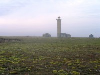  P7080006.JPG