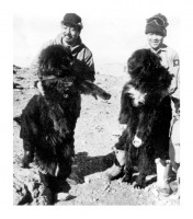 "сахалинцы" Таро и Дзиро из арктической экспедиции 1958 г. : Таро и Дзиро из арктической экспедиции 1958 г..jpg