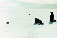  polarbee_molodezhnaya_1987_04.jpg