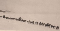 фотография гиляцкой упряжки сделанная на севере Сахалина в 1906 году : фотография гиляцкой упряжки сделанная на севере Сахалина в 1906 году.jpg