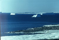  polarbee_molodezhnaya_1987_23.jpg