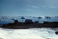  polarbee_molodezhnaya_1987_26.jpg