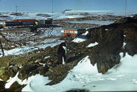  polarbee_molodezhnaya_1987_35.jpg