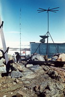  polarbee_molodezhnaya_1987_40.jpg