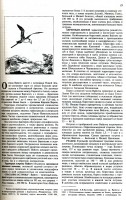  стр. 1 (4).jpg