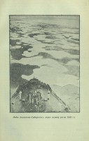 Льды Восточно-Сибирского моря (конец июля 1935 г.) : 164ф.jpg