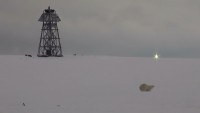 Медведь на острове Андрея. Старый маяк. : 64977887.jpg