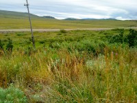  _____20120524_1097198803.jpg