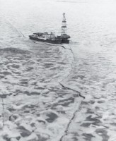 дэ ОБЬ и буровая СЕВАСТОПОЛЬ в Печорском море. Фото 1982 г. : getImage.jpg