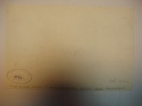  Пилот Финкельберг А. 1951-56 г.г..jpg