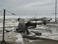  P1140325_1280x960.gif