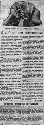  ВСП 1934 № 153 (5 июля) Питомник соболей.jpg