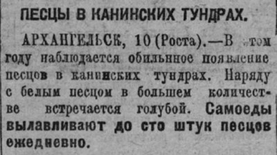  Советская Сибирь, 1926, № 133 (1926-06-12) Песцы в Канинских тундрах.jpg