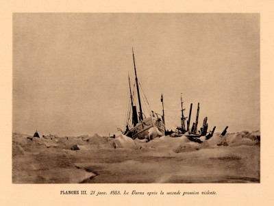 Planche III.jpg