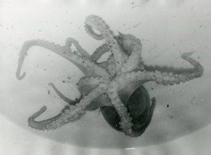  img453.jpg
