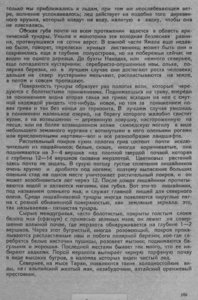  Обский Север - 0008.jpg