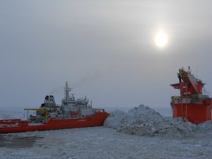 Стамуха у терминала ВАРАНДЕЙ выросла незаметно : Стамуха у терминала ВАРАНДЕЙ .jpg