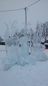  20170219_122901.jpg
