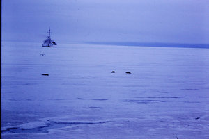  Details about  Kodachrome Transparency 35MM Slide South Pole White Ship Sailing To McMurdo 1971.jpg