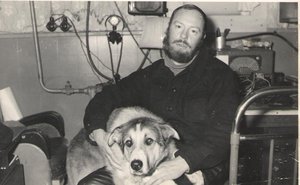  Антарктида-Мирный-1962-год-пёс-Ребда.jpg