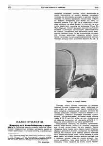  1915-04-60-62 Воллосович мамонт.jpg