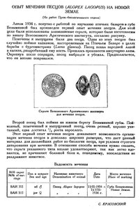  Бюллетень Арктического института СССР. № 9.-Л., 1935, с.281 мечение песцов.jpg