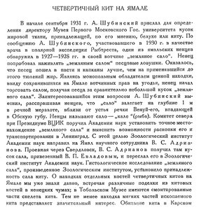 Бюллетень Арктического института СССР. № 5.-Л., 1932, с.97-98 кит на Ямале - 0001.jpg