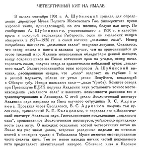  Бюллетень Арктического института СССР. № 5.-Л., 1932, с.97-98 кит на Ямале - 0001.jpg