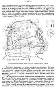  Бюллетень Арктического института СССР. № 11. -Л., 1935, с.393-395 о.БЕЛЫЙ и ресурсы - 0002.jpg