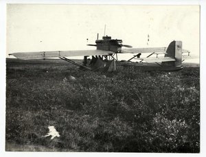  Н235 Wal (1аа).jpg