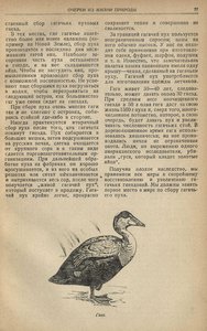  Вестник знания 1939, № 04-05 ГАГА - 0004.jpg