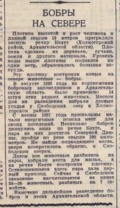  Бобры на севере Вечерняя Москва   23 мая 1940.jpeg