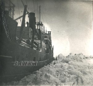  04 лесовоз товарищ Сталин после сжадия льдов в проливе Вилькицкого копия.jpg