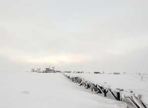  12232792_971645566237332_396620988990372126_o.jpg