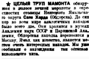  Правда Севера, 1933, № 255, 04 ноября - ХРОНИКА СЕВКРАЯ-мамонт.jpg