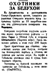  Правда Севера, 1934, №134_12-06-1934 БЕЛУХА ПРОМЫСЕЛ.jpg