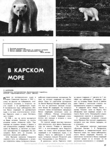 Широков К. В Карском море_1972_9.jpg