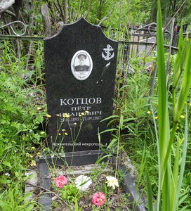  kotcovp.jpg