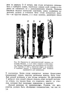  На восточном побережье Таймырского полуострова - 0130.jpg