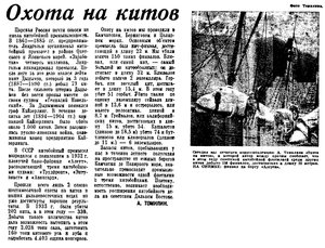  Известия 1934-304 (5552)_29.12.1934 АЛЕУТ ТОМИЛИН КИТЫ.jpg