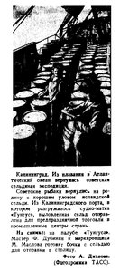  Восточно-Сибирская правда 1948 № 237 (1 дек.) сельдяная ПБ ТУНГУС.jpg