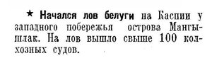  Известия 1938-155 (6622)_05.07.1938 БЕЛУГА КАСПИЙ.jpg